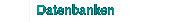 datenbanken
